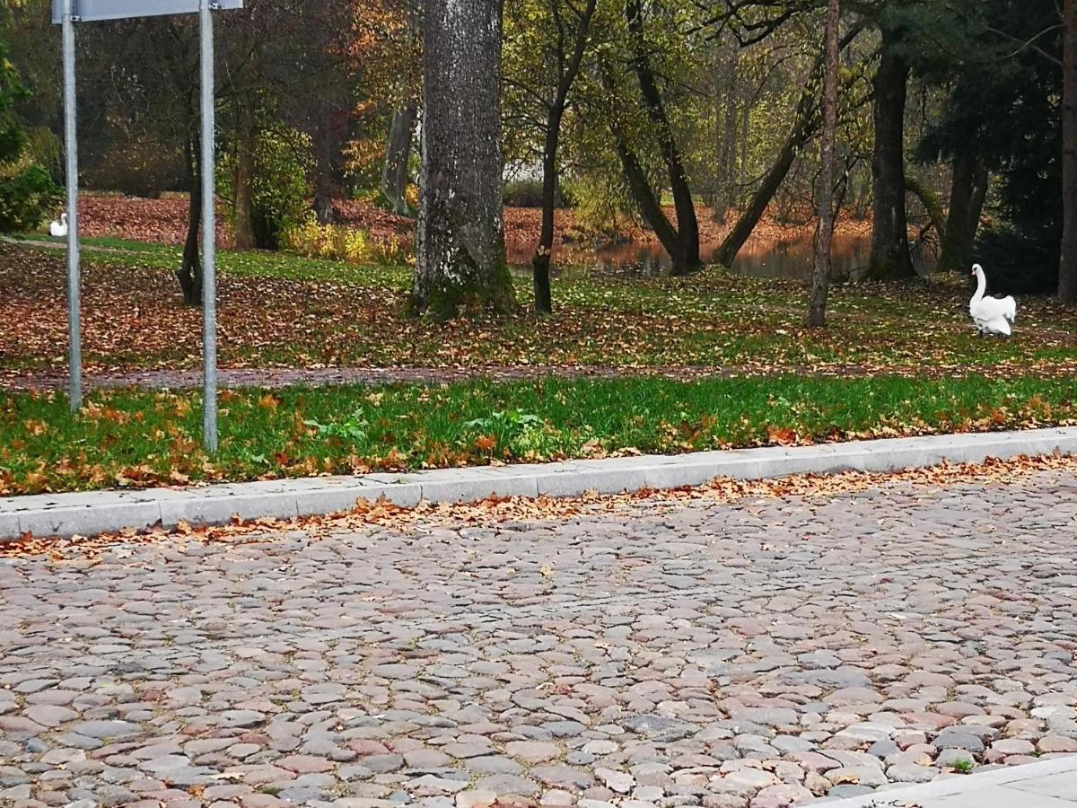 Botanical Garden Studio Каунас Екстериор снимка