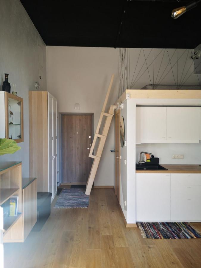 Botanical Garden Studio Каунас Екстериор снимка